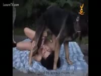Zoophilia Sex Film - Husky dog face bonks his Latina owner